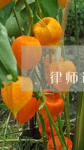 律师证持证人数2022年 律师证持证人数2022年