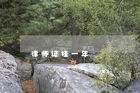 律师证挂一年