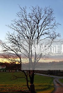 律师证挂着出国 律师证挂着出国