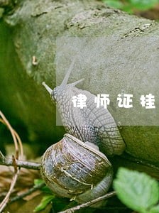 律师证挂靠是否违法