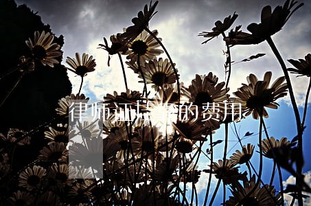 律师证挂靠的费用 律师证挂靠的费用