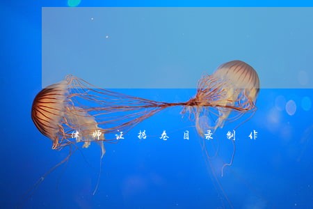 律师证据卷目录制作 律师证据卷目录制作
