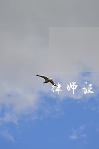 律师证据导图 律师证据导图