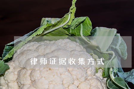 律师证据收集方式 律师证据收集方式