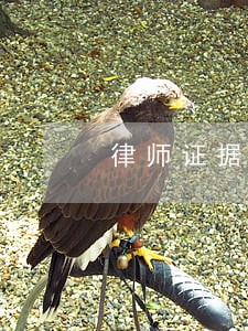 律师证据法律规定 律师证据法律规定