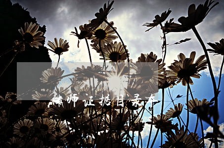 律师证据目录本 律师证据目录本