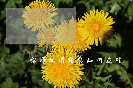 律师证据突袭如何应对 律师证据突袭如何应对