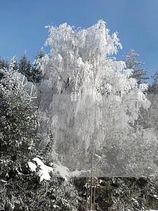 律师证据调查方法 律师证据调查方法