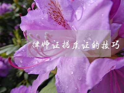 律师证据质证的技巧 律师证据质证的技巧
