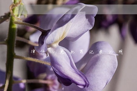 律师证无犯罪记录证明 律师证无犯罪记录证明
