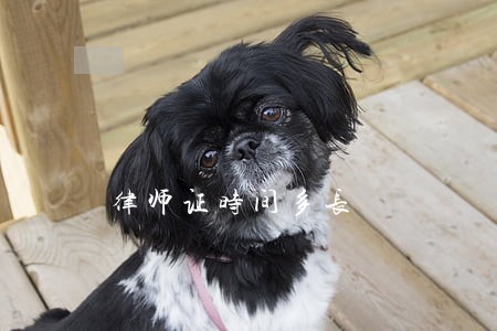 律师证时间多长 律师证时间多长