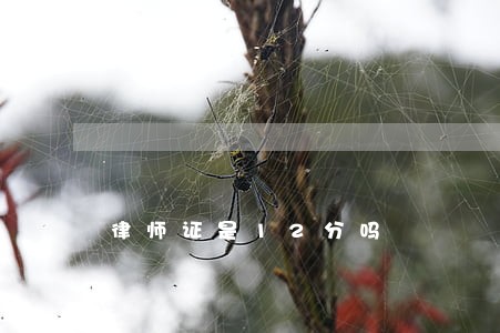 律师证是12分吗 律师证是12分吗