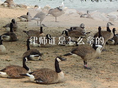 律师证是怎么拿的 律师证是怎么拿的