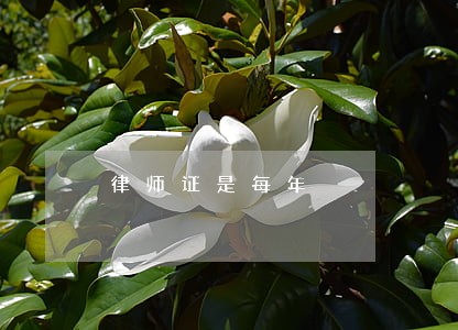 律师证是每年 律师证是每年