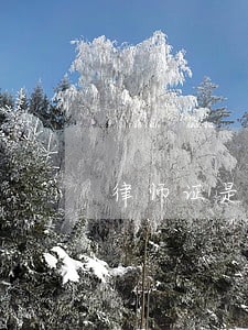 律师证是职业资格还是职称等级 律师证是职业资格还是职称等级