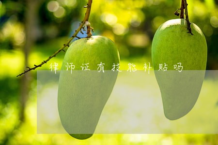 律师证有技能补贴吗 律师证有技能补贴吗