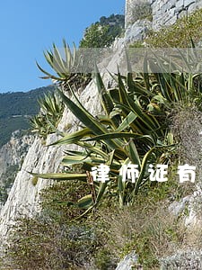 律师证有那 律师证有那