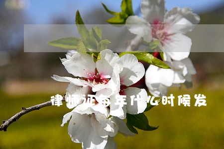 律师证每年什么时候发 律师证每年什么时候发