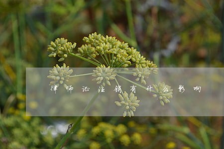 律师证注销有什么影响 律师证注销有什么影响
