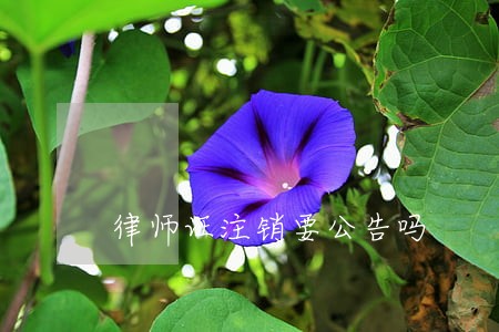 律师证注销要公告吗 律师证注销要公告吗