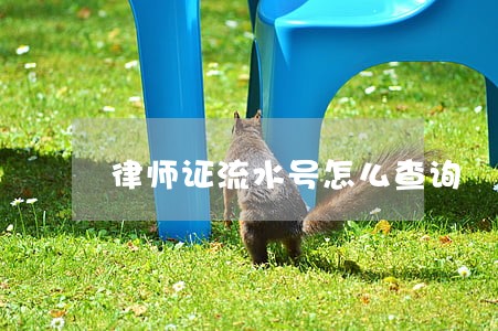律师证流水号怎么查询