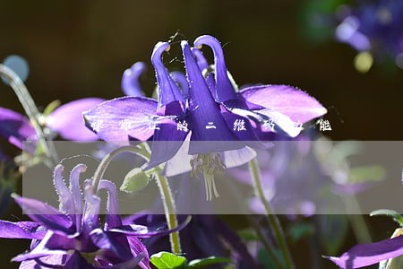 律师证的二维码功能 律师证的二维码功能