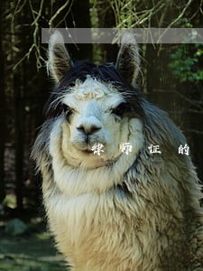 律师证的分类标准 律师证的分类标准