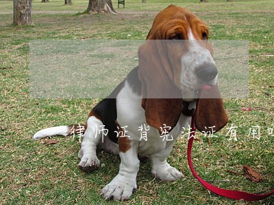 律师证背宪法证有用吗 律师证背宪法证有用吗