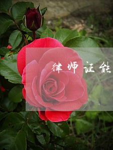 律师证能走职称吗 律师证能走职称吗