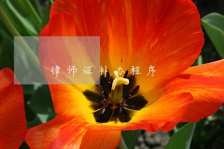 律师证补办程序 律师证补办程序