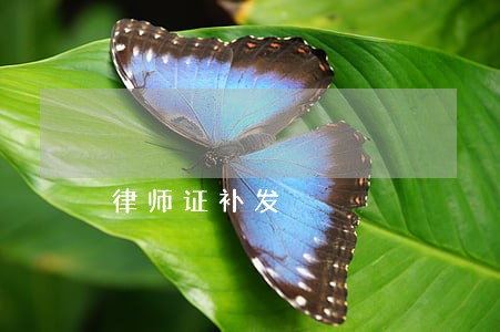 律师证补发 律师证补发