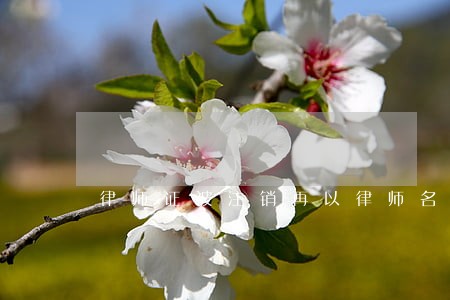 律师证被注销再以律师名义收费 律师证被注销再以律师名义收费