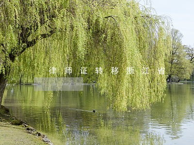 律师证转移浙江省 律师证转移浙江省