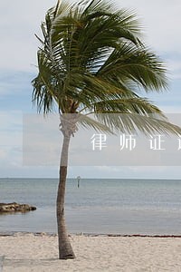 律师证通过a后怎么换 律师证通过a后怎么换