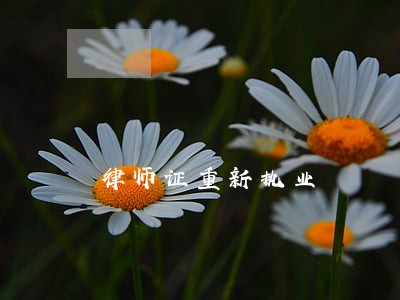 律师证重新执业 律师证重新执业