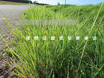 律师证面试复核申请 律师证面试复核申请