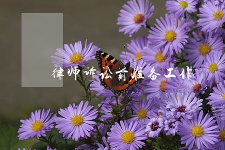 律师诉讼前准备工作 律师诉讼前准备工作
