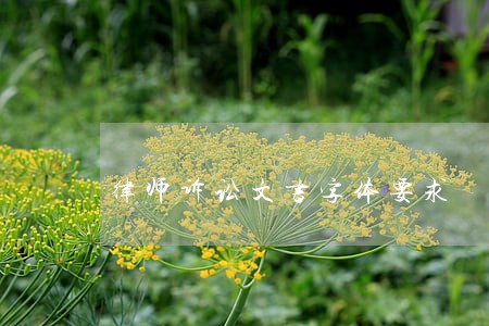 律师诉讼文书字体要求 律师诉讼文书字体要求
