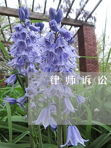 律师诉讼文书格式下载 律师诉讼文书格式下载