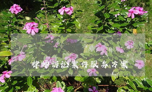 律师诉讼案件服务方案 律师诉讼案件服务方案