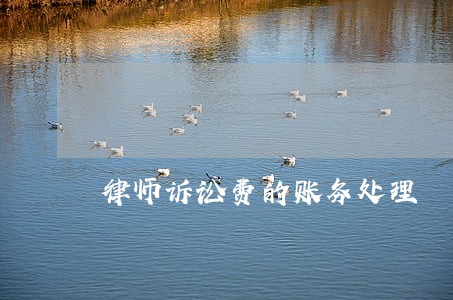 律师诉讼费的账务处理 律师诉讼费的账务处理