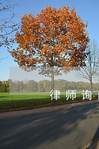 律师询问免费临时工有试用期吗 律师询问免费临时工有试用期吗