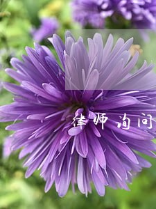 律师询问服务放心可靠 律师询问服务放心可靠