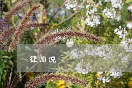 律师说 律师说