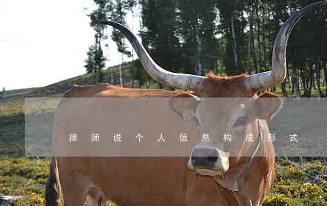律师说个人信息构成形式 律师说个人信息构成形式