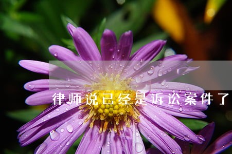 律师说已经是诉讼案件了 律师说已经是诉讼案件了