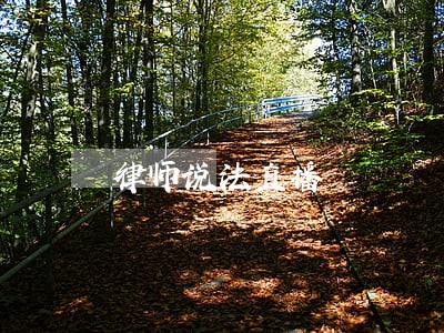律师说法直播 律师说法直播