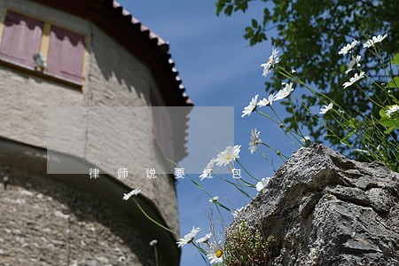 律师说要红包 律师说要红包