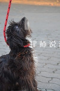 律师说话真是滴水不漏 律师说话真是滴水不漏