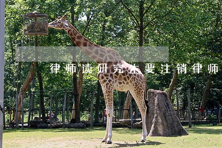 律师读研究生要注销律师证 律师读研究生要注销律师证